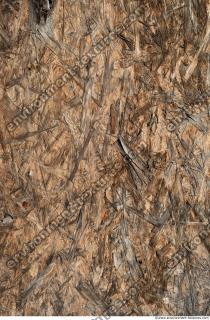 Photo Textures of Wood